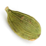 What Is Cardamom